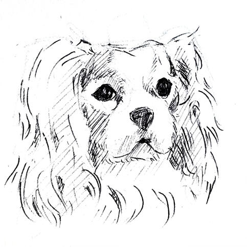 based off a dog stock image 2, pen